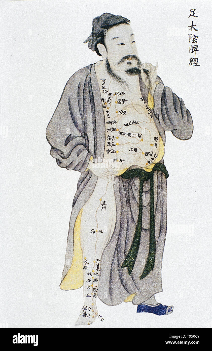 Illustration showing the spleen channel of leg taiyin from Renti jingmai tu (Illustrations of the Channels of the Human Body), a manuscript text executed during the Kangxi reign period of the Qing dynasty (1662-1722). Acupuncture is a form of alternative medicine in which thin needles are inserted into the body. It is a key component of traditional Chinese medicine (TCM). TCM theory and practice are not based upon scientific knowledge, and acupuncture is a pseudoscience. Stock Photo