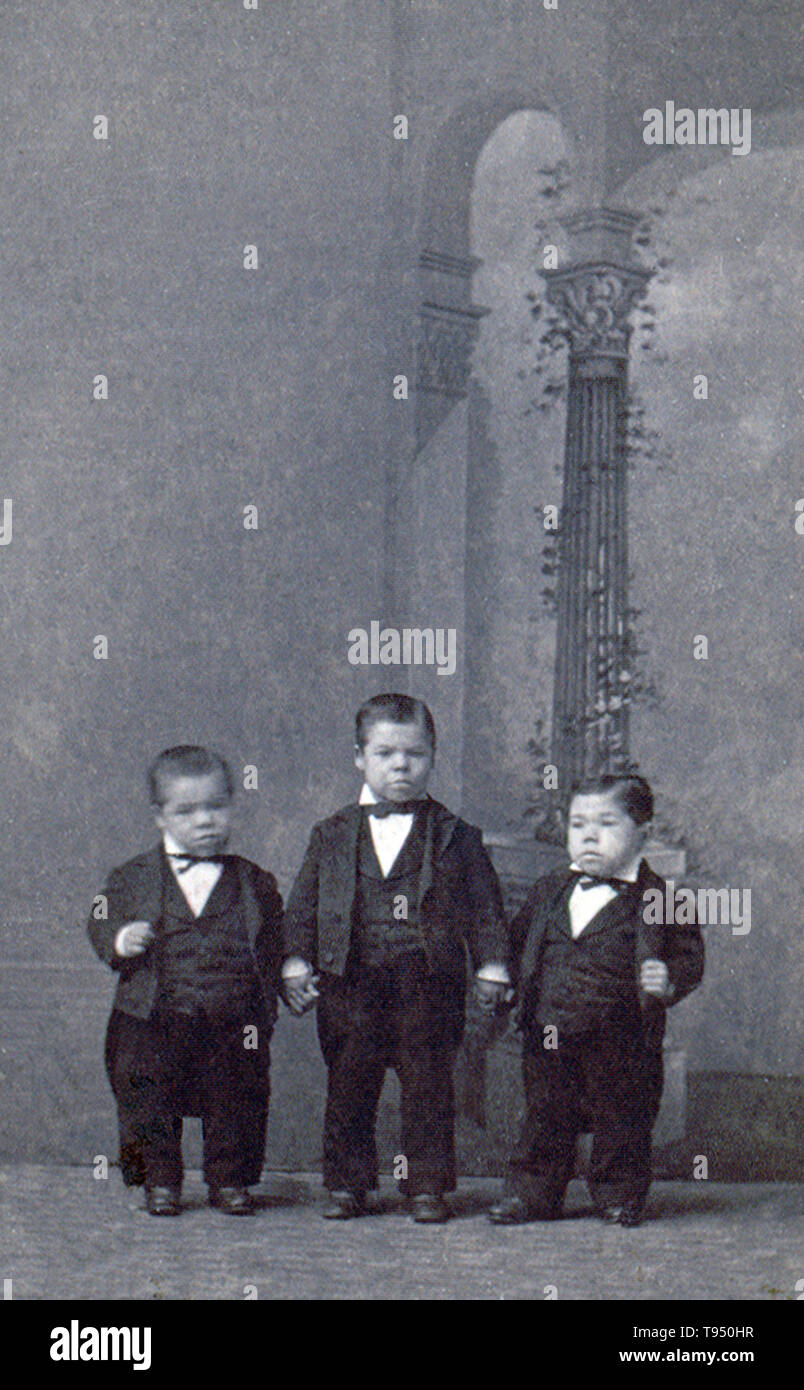 Entitled: 'The Murays Midgets, tripplet brothers, age 19 years.' Very little is known about the Murray brothers (John, James and Joseph). They were billed as triplets when exhibited at Barnum's American Museum, but according to an 1880 newspaper article they were brothers, but not triplets, born in New York between 1860 and 1870. The smallest of the brothers stood 37 inches tall; the tallest 42. Their mother was their manager and toured with them. Stock Photo