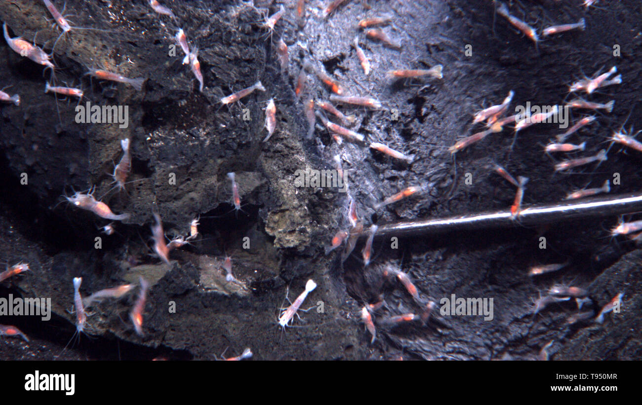 West mata volcano hires stock photography and images Alamy