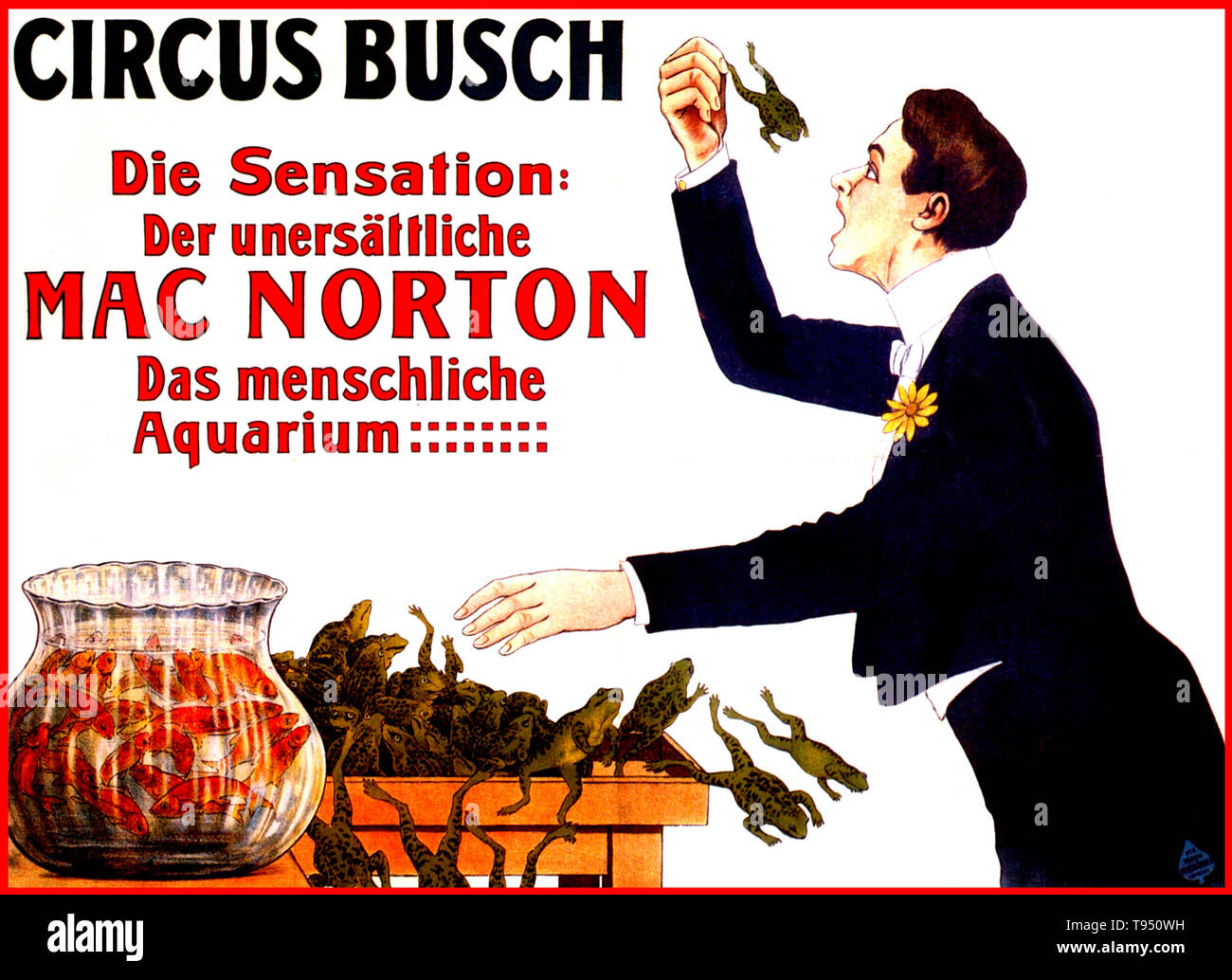 Mac Norton (born Claude Louis Delair, 1876 - 1953) was a French magician billed as 'The Human Aquarium'. As a child, he developed the ability to swallow and then regurgitate small quantities of water. As an adult, he saw that other magicians were making a good living as regurgitators, so he developed his own act, learning to swallow great quantities of water and bread, and even live animals. Stock Photo