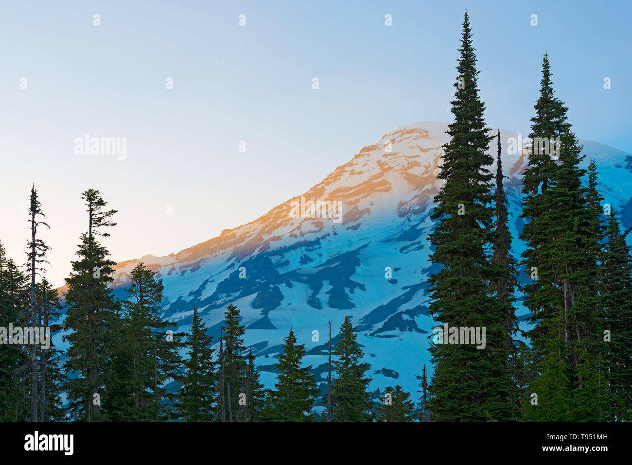 Mount Rainier summit and Paradise area at Mount Rainier National Park, Washington State, USA Stock Photo