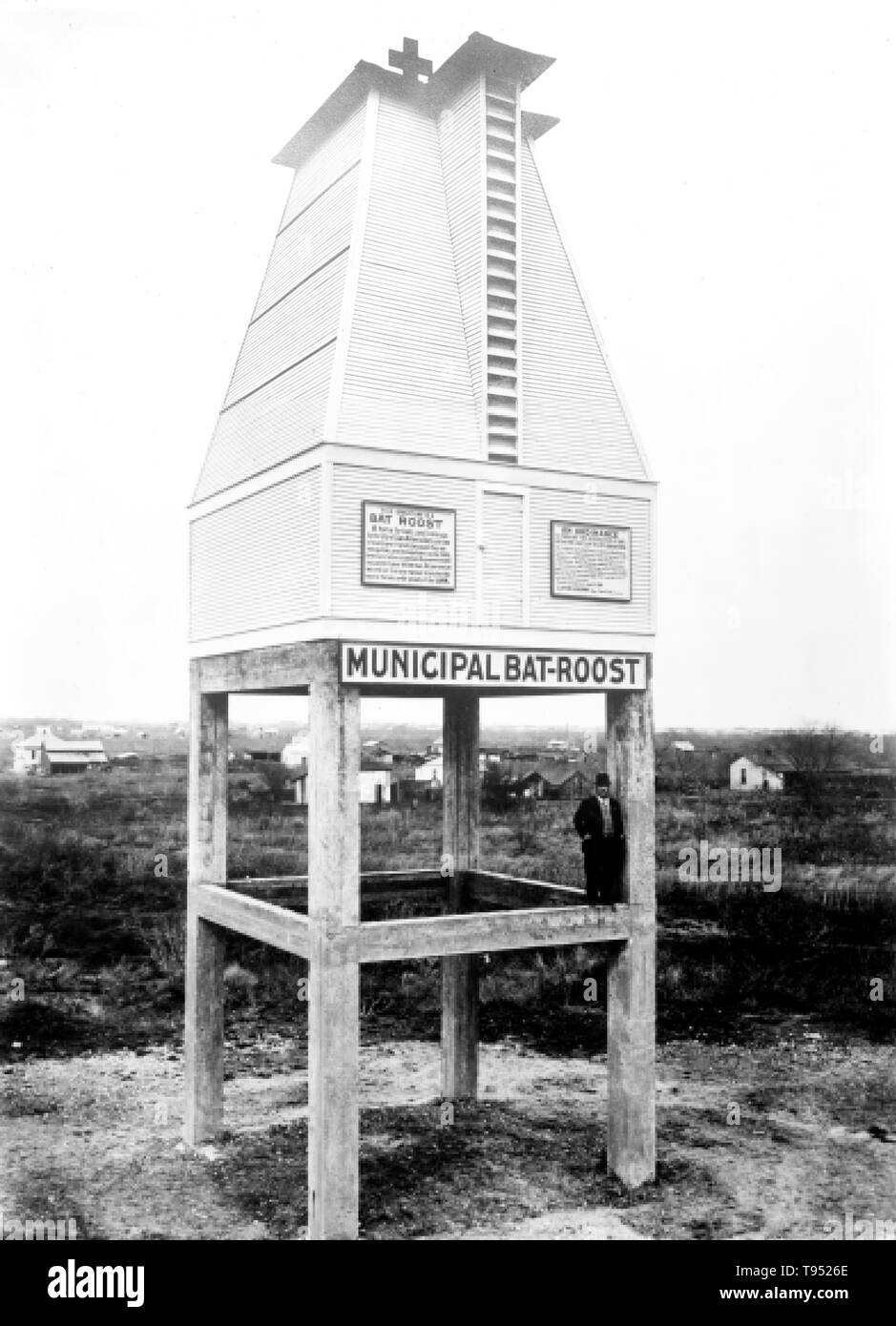 Bat roost in San Antonio, Texas with a sign: 'A home for bats and belongs to the City of San Antonio. Bats are one of man's best friends, because they eat mosquitoes and mosquitoes cause chills, fevers and other diseases...' Man standing on roost is Dr. Charles Augustus Rosenheimer Campbell who advocated for the roost to be built. Photographed by Bain News Service 1915. Stock Photo