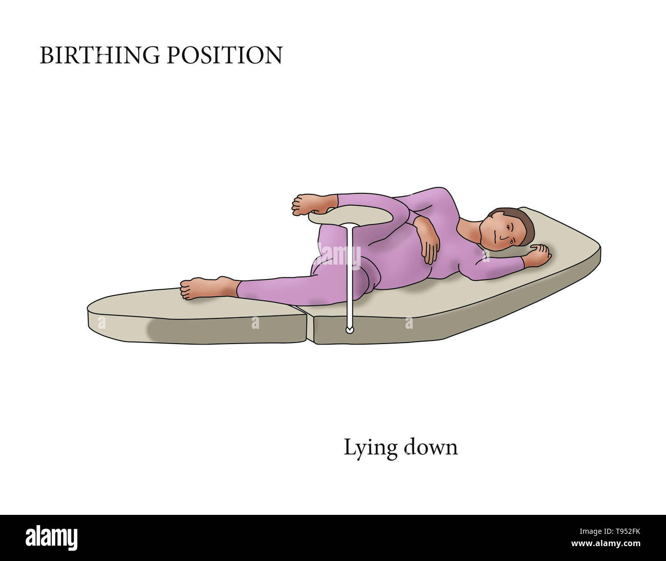 Illustration showing a woman in the Lying Down birthing position. Stock Photo