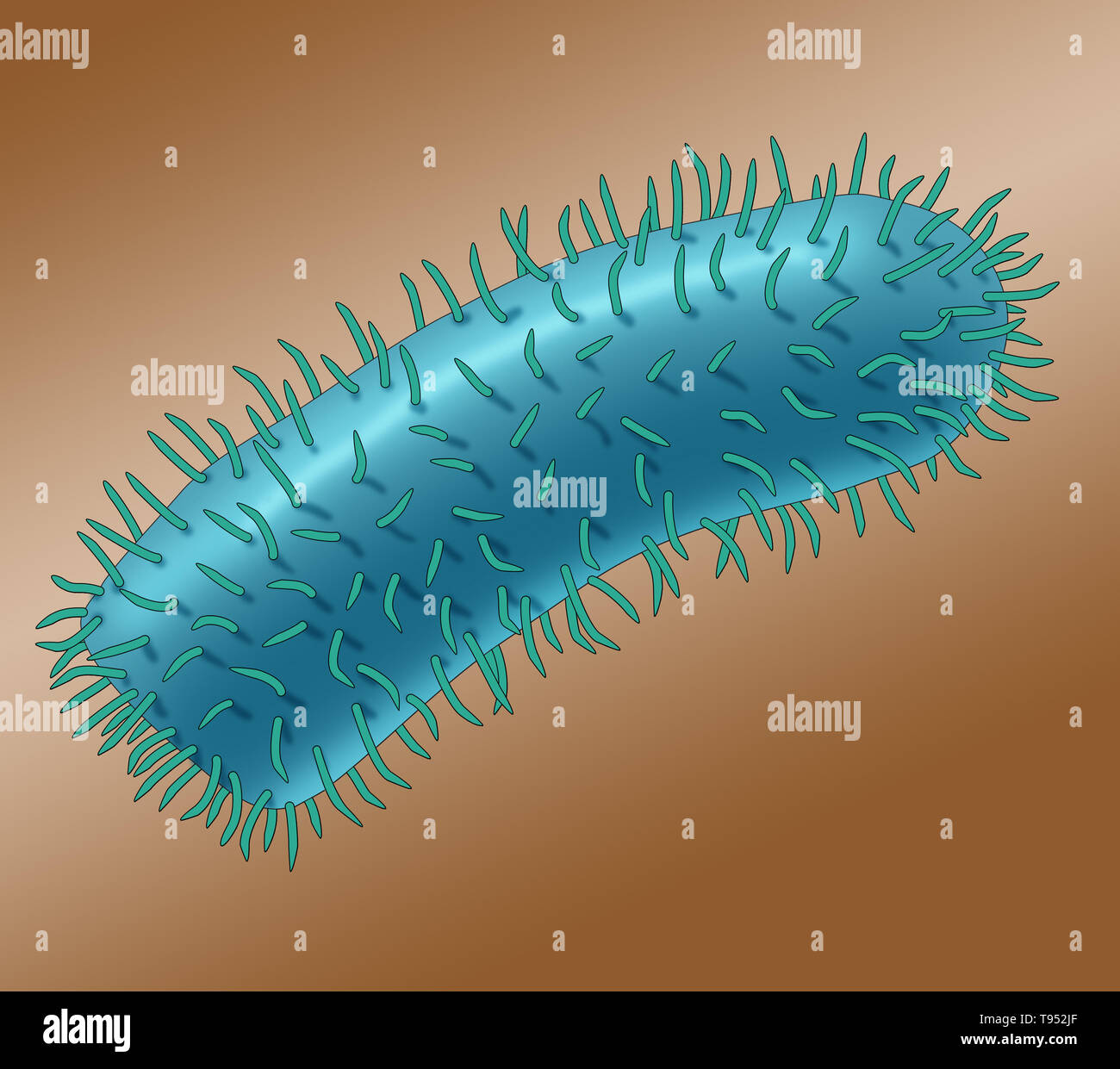 Illustration the rabies virus. Rabies virus is a neurotropic virus that causes rabies in humans and animals. The rabies virus has a cylindrical morphology and is the type species of the Lyssavirus genus of the Rhabdoviridae family. Stock Photo