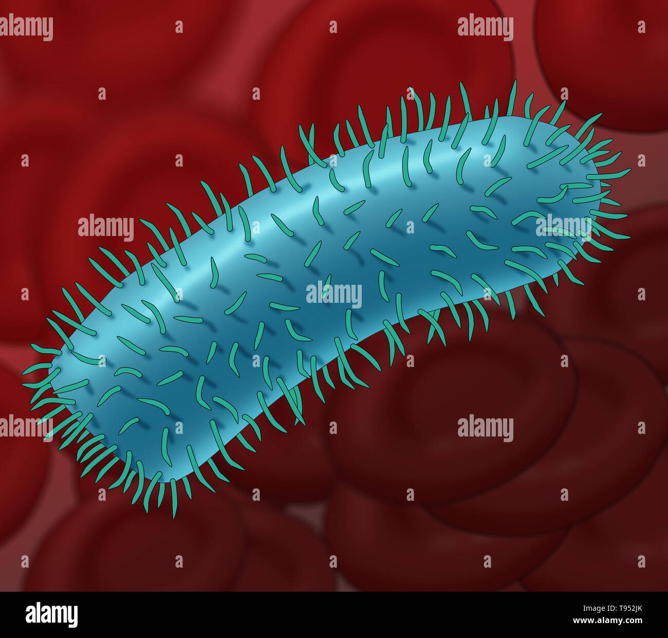 Illustration the rabies virus. Rabies virus is a neurotropic virus that causes rabies in humans and animals. The rabies virus has a cylindrical morphology and is the type species of the Lyssavirus genus of the Rhabdoviridae family. Stock Photo