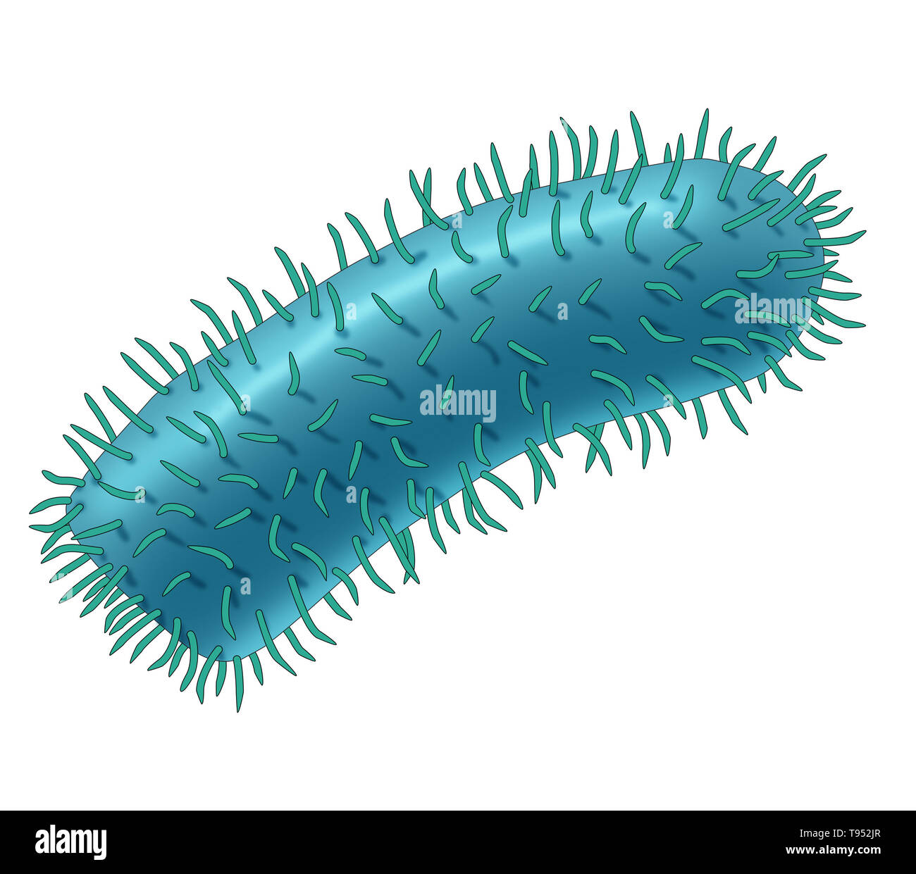 Illustration the rabies virus. Rabies virus is a neurotropic virus that causes rabies in humans and animals. The rabies virus has a cylindrical morphology and is the type species of the Lyssavirus genus of the Rhabdoviridae family. Stock Photo