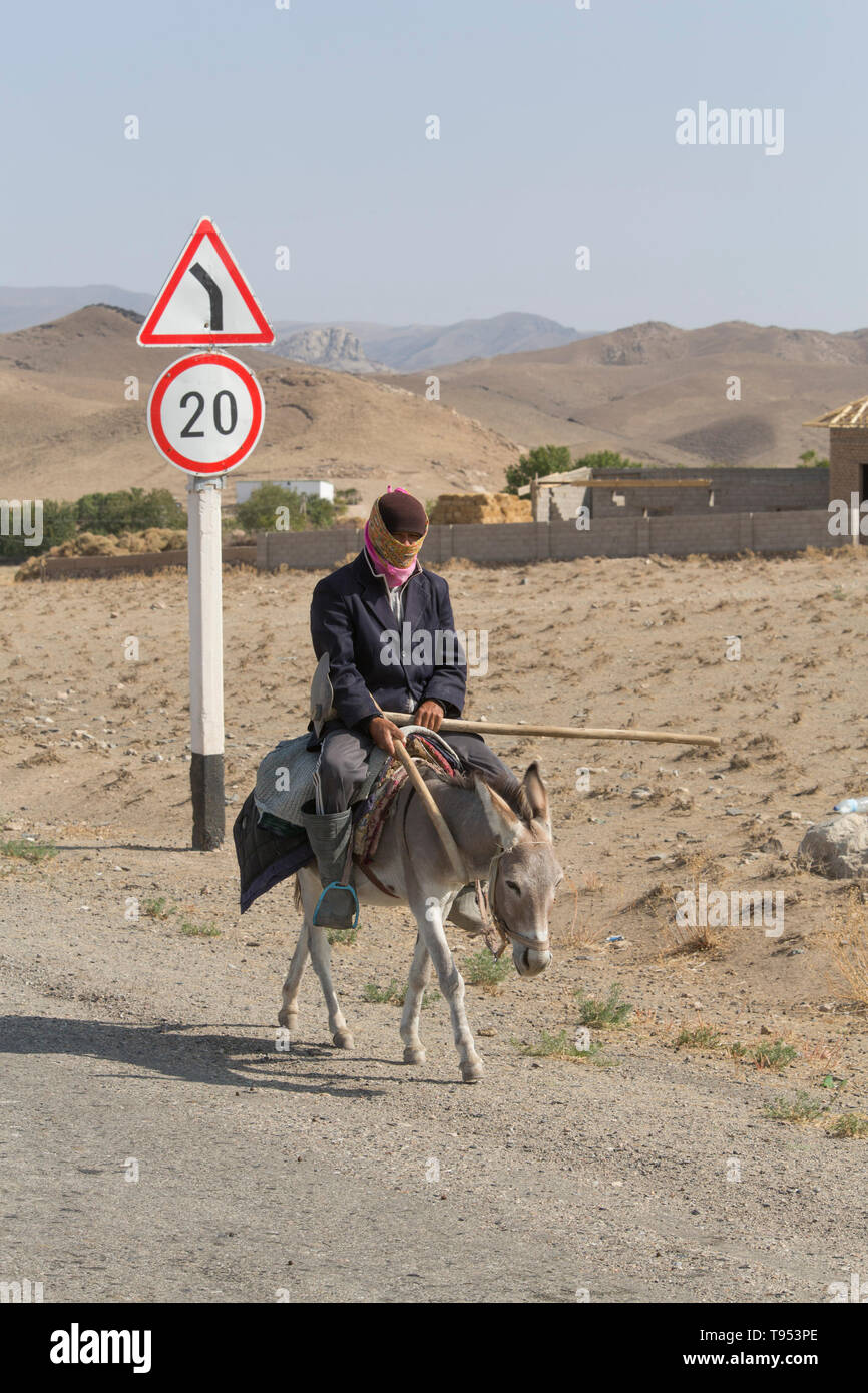 Donkey Crossing Sign Zone Xing 12" animals farm mule cart rides farmer jackass 