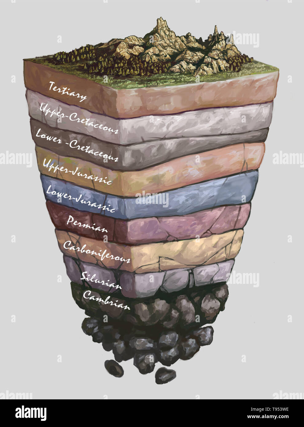Geologic Time Scale Rock Layers