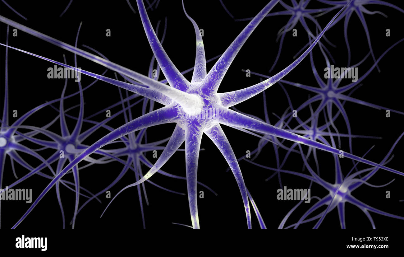 An illustration of nerve cells. Stock Photo