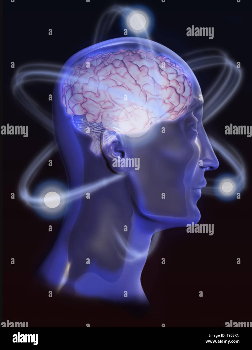 A conceptual illustration of brain activity. Stock Photo