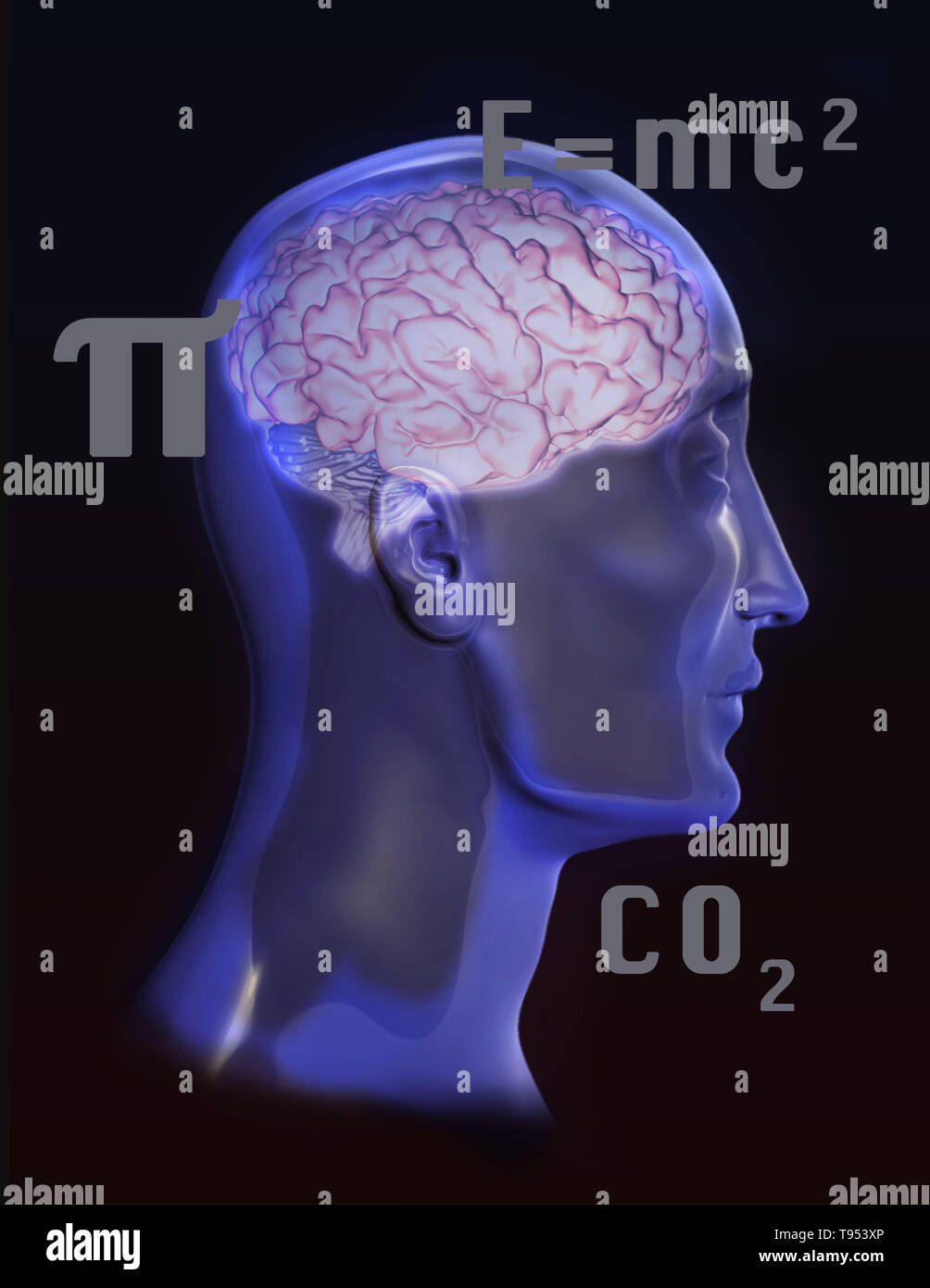 A conceptual illustration of brain activity. Stock Photo