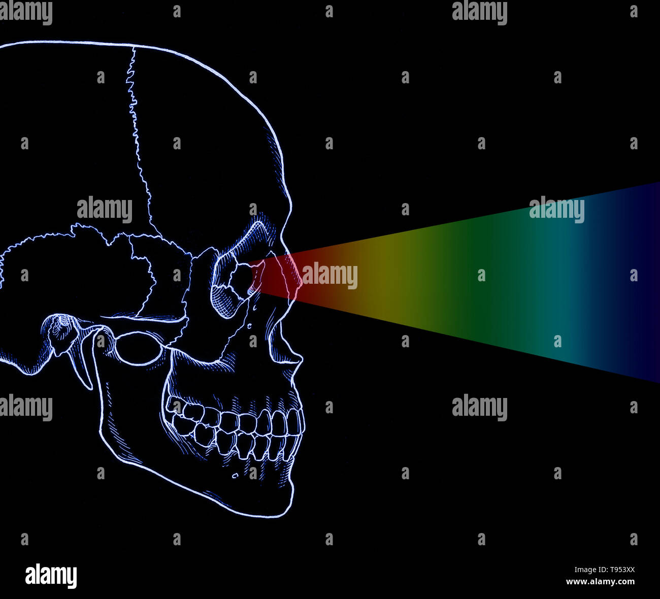 Illustration of the eye perceiving visible light. Stock Photo