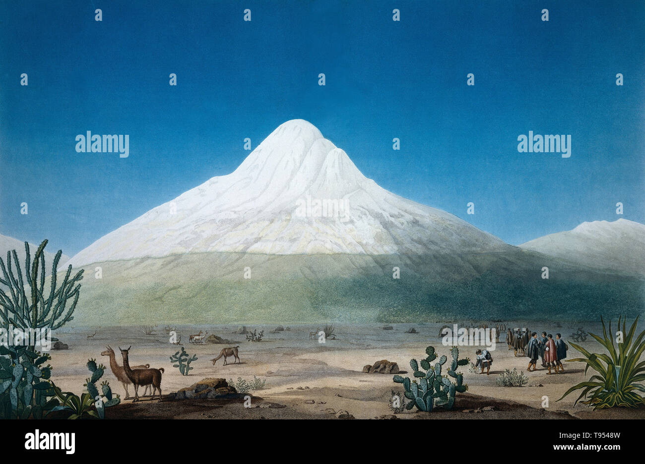 Mount Chimborazo, as seen by the explorer and naturalist Alexander von Humboldt in the early 1800s. Chimborazo is a currently inactive stratovolcano in the Cordillera Occidental range of the Andes. With a peak elevation of 6,263 m (20,548 ft), Chimborazo is the highest mountain in Ecuador. Alexander von Humboldt (1769-1859) was a Prussian geographer, naturalist and explorer. His quantitative work on botanical geography laid the foundation for the field of biogeography. Stock Photo