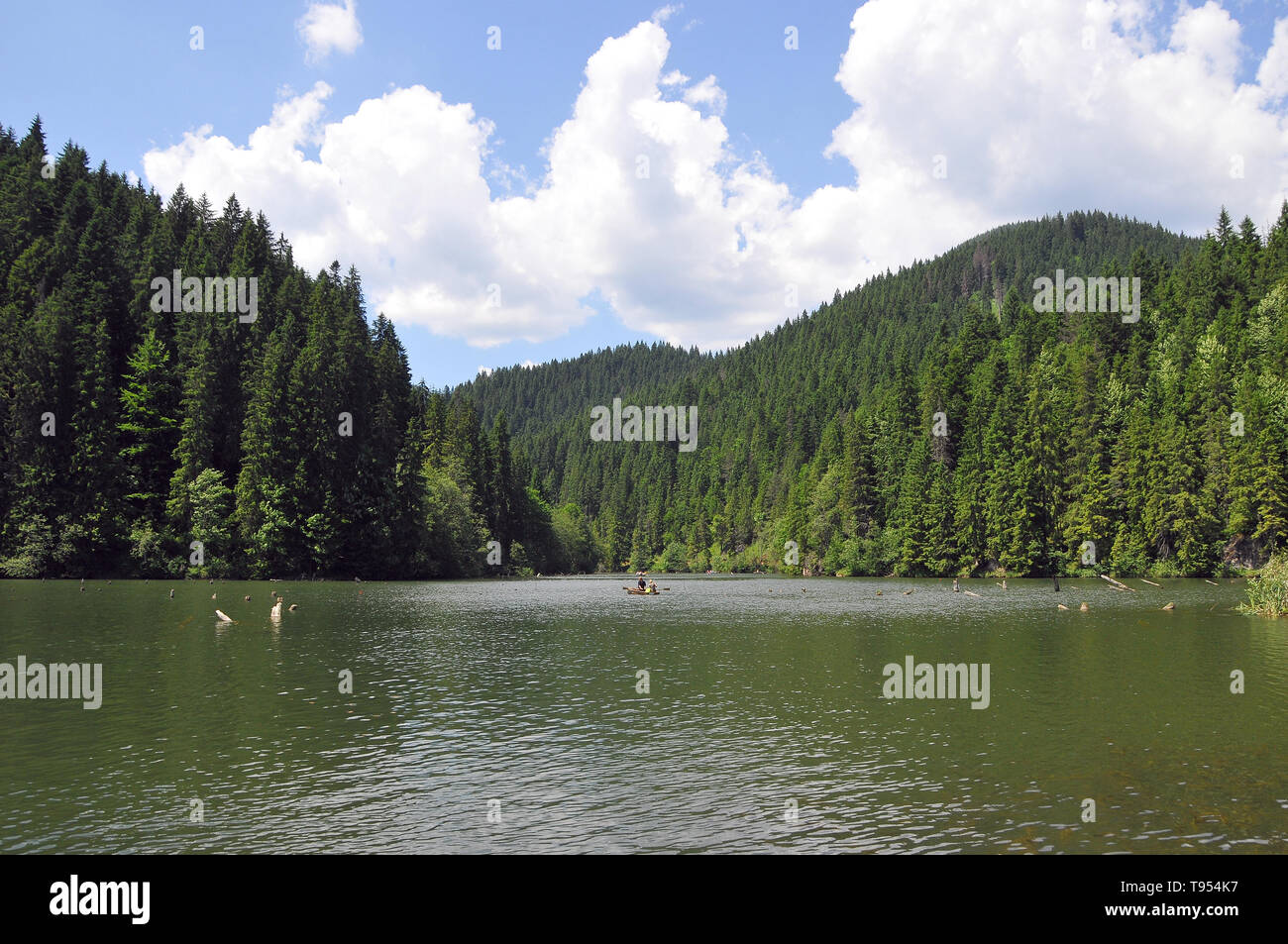 Red Lake, Lacul Roșu, Gyilkos-tó, Romania, Europe Stock Photo - Alamy