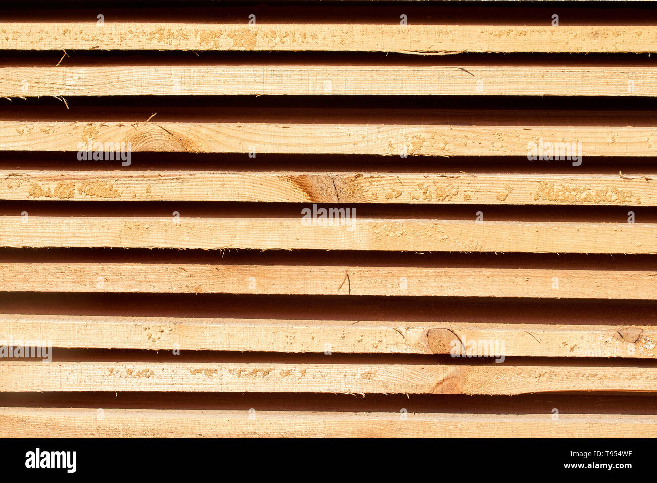 wood beams background with a clear tree structure Stock Photo