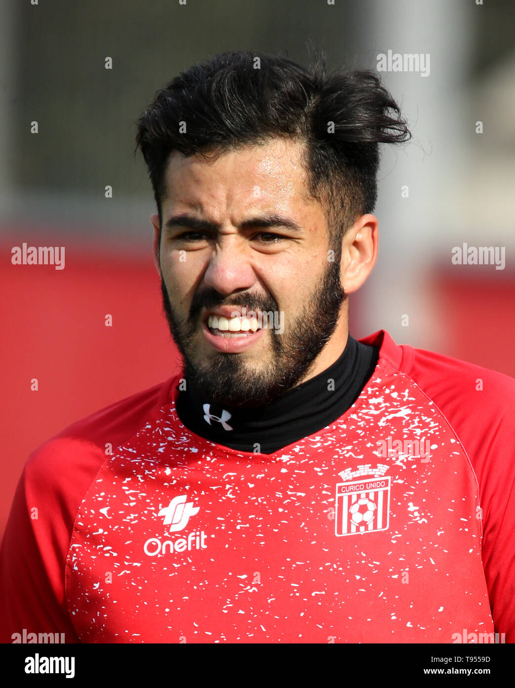 Chile Football League 1 Division  -  Campeonato Nacional AFP PlanVital 2019 /  ( Club de Deportes Curico Unido ) -  Diego Andres Tapia Rojas Stock Photo