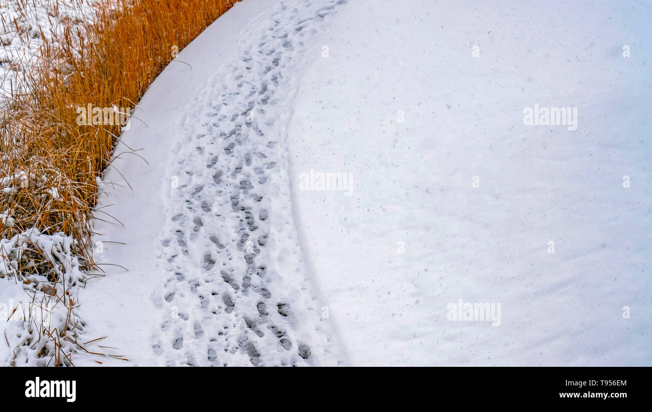 Panorama Snowy trail along Oquirrh Lake with track marks Stock Photo