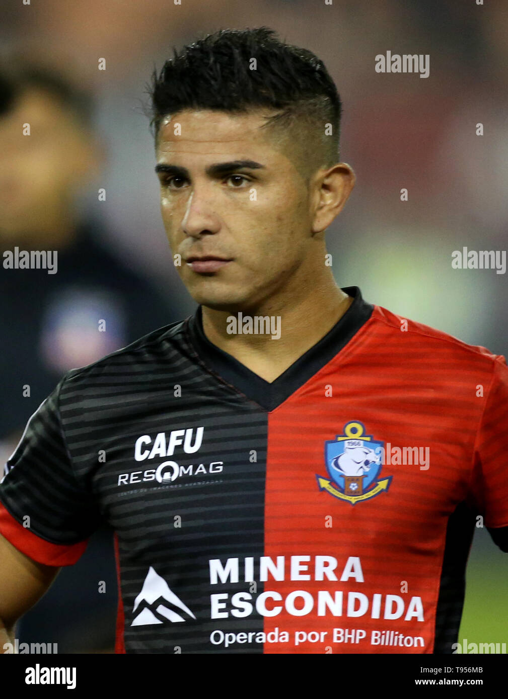 Chile Football League 1 Division - Campeonato Nacional AFP PlanVital 2019 /  ( Audax Club Sportivo Italiano ) - Manuel Elias Fernandez Guzman Stock  Photo - Alamy