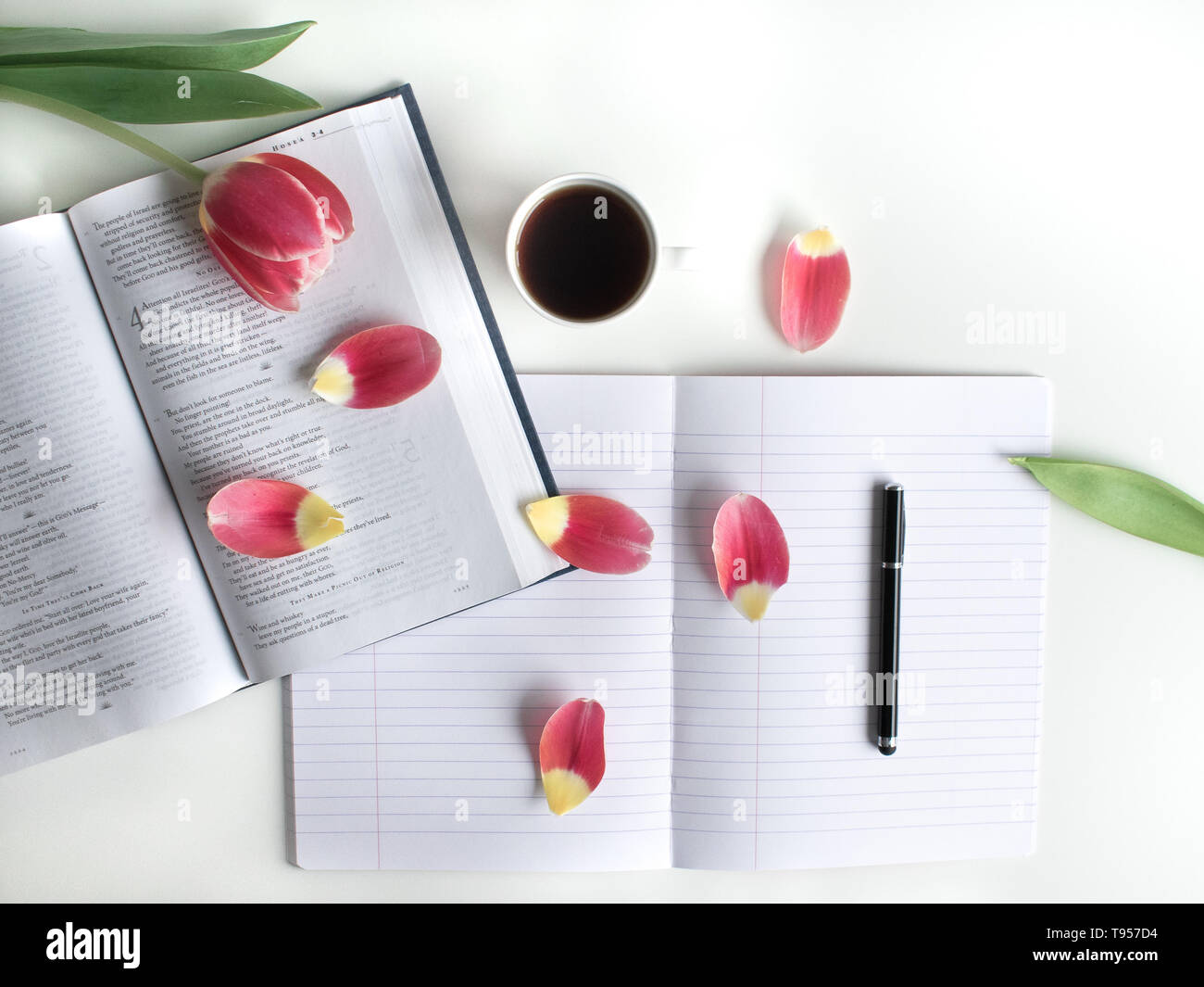 Bible flat lay with red, pink tulip and petals. Open journal, notebook on white background. Additionally: Black tea, black pen, to do list, cross. Stock Photo