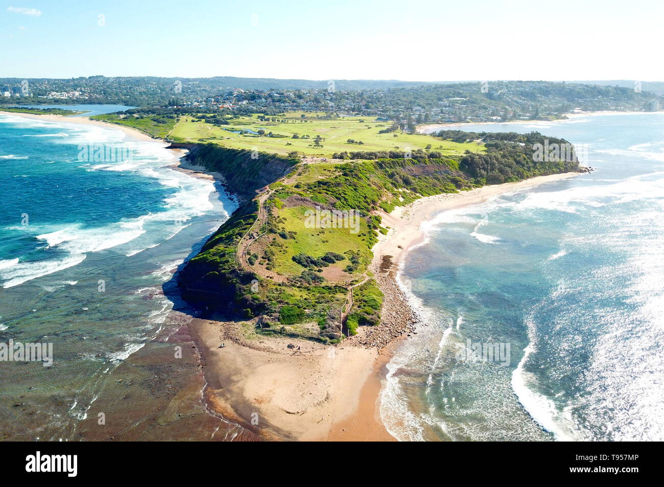 Long Reef Headland Wedding