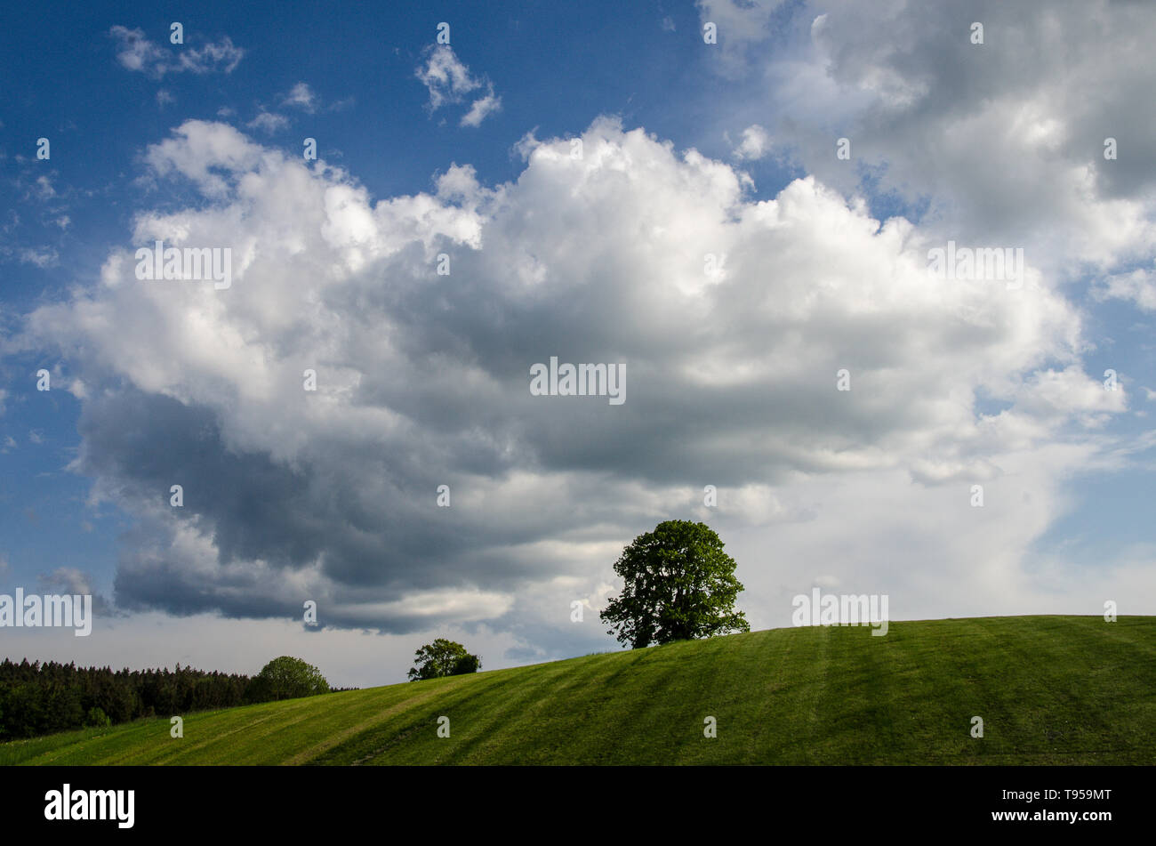 weather in the alpine upland Stock Photo Alamy