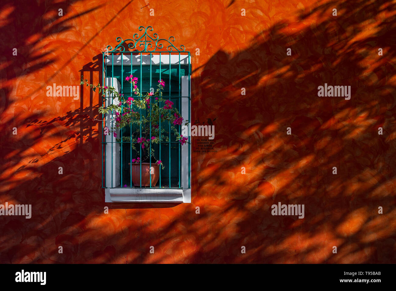 A brightly painted house with a flower in the window is seen on the street near the workshop of Laura Peña, a cigar maker, in Suchitoto, El Salvador. Stock Photo