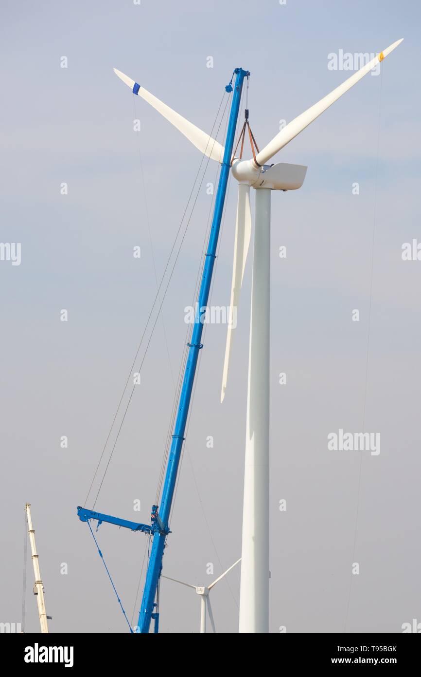 Assembling resources hi-res stock photography and images - Alamy