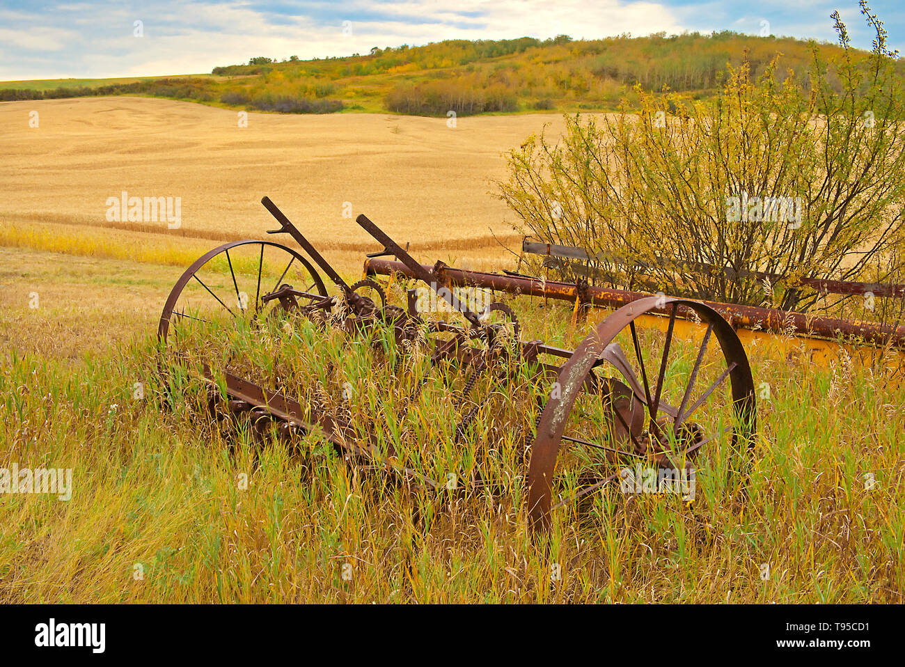 Tractor and old farm implements on homestead Baljennie Saskatchewan Canada Stock Photo