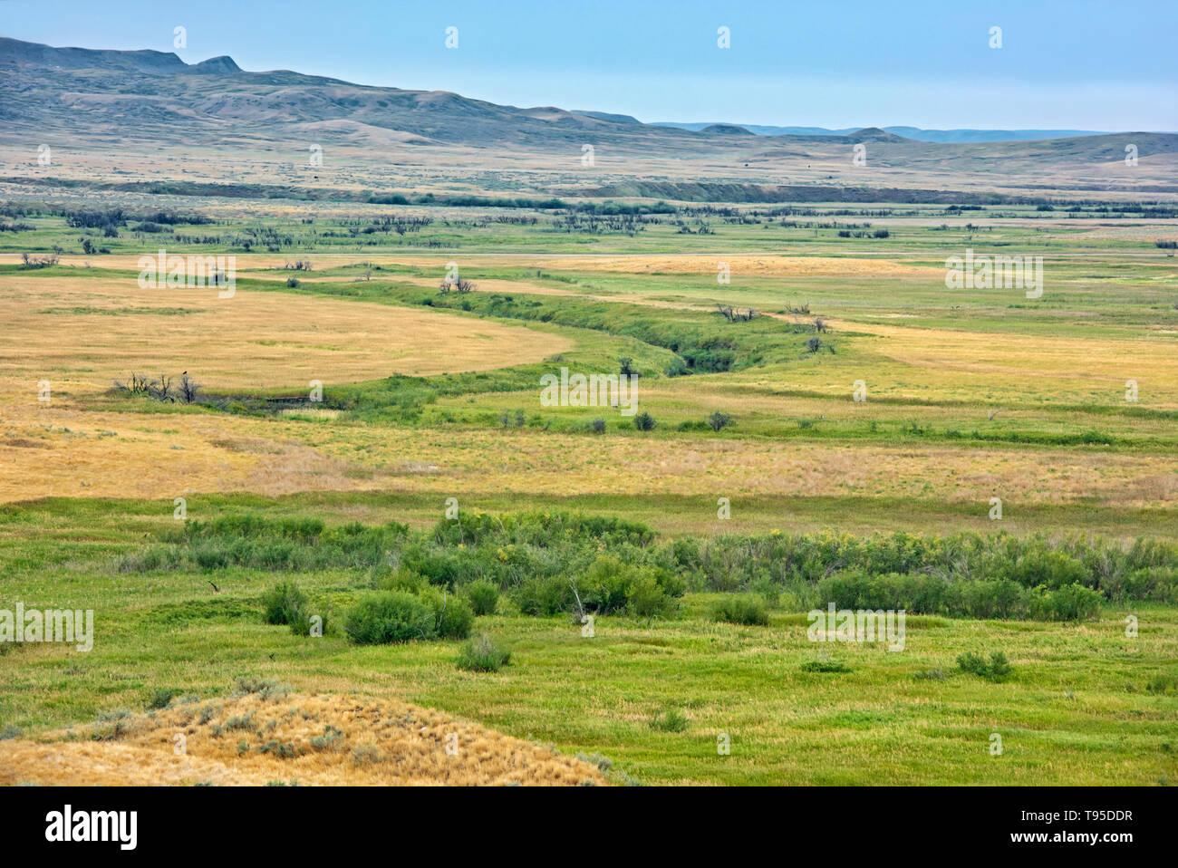 Rolling hills and coulees of mixed-grass native prairie Grasslands National Park Saskatchewan Canada Stock Photo