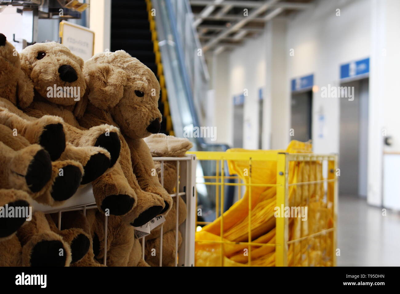 Soft toy dogs and piles of yellow shopping bags in IKEA branch in Funabashi in Chiba Prefecture. Shallow depth of field. Stock Photo