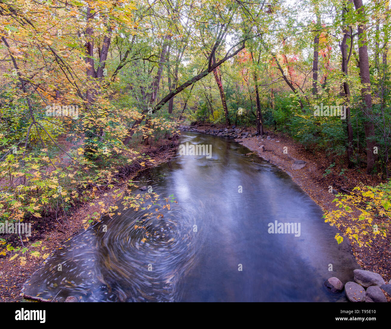 Colorful fall leaves on trees and in the water of the Minnehaha Creek in Minneapolis, Minnesota - long exposure of the flowing creek water with fallen Stock Photo