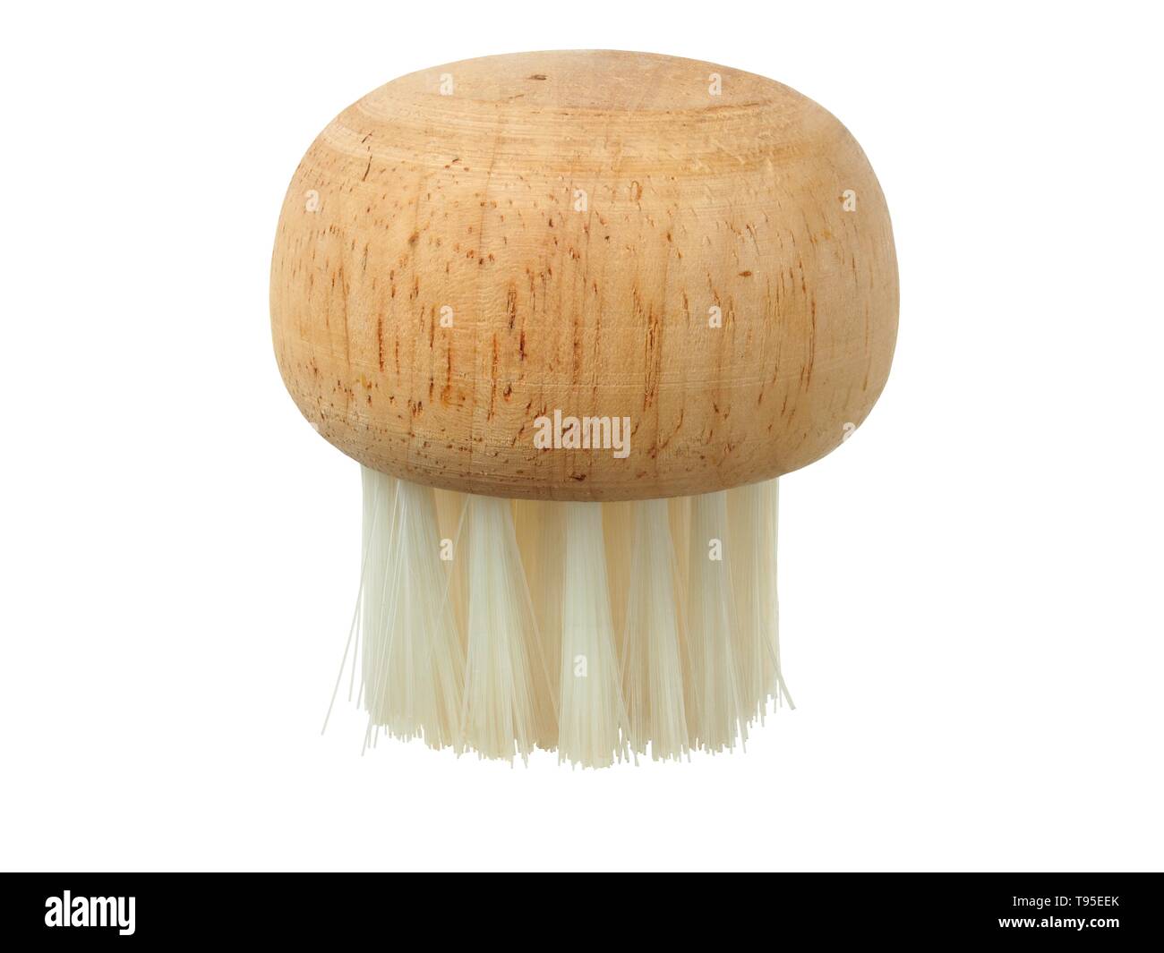 White Mushrooms With Brush Stock Photo - Download Image Now - Cleaning,  Edible Mushroom, Mushroom - iStock
