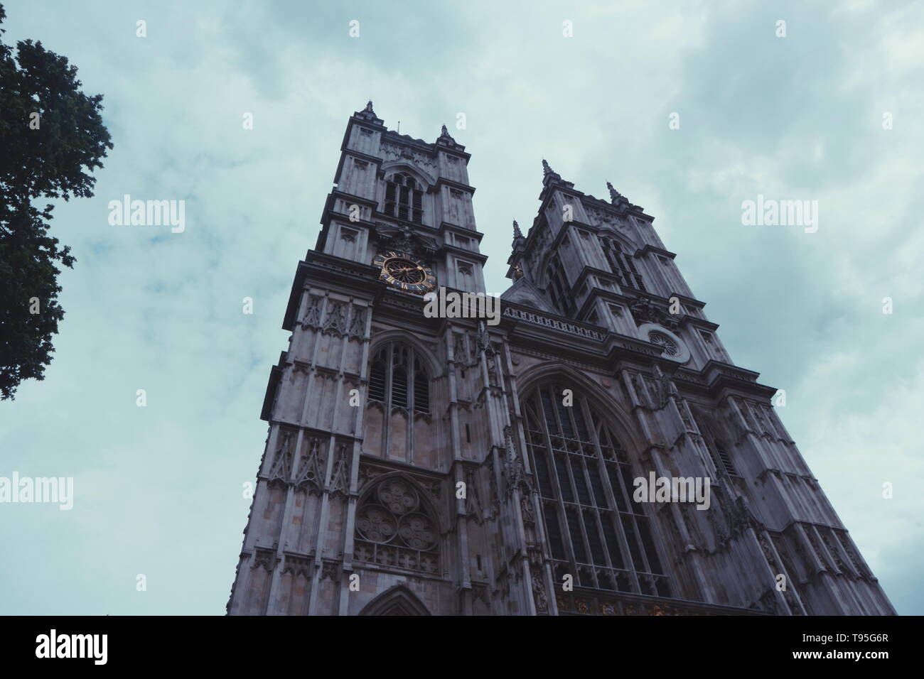 The famous Westminster Abbey, London, UK shot in a low-angle perspective on a cloudy day. On the left-hand side a tree comes into the frame. Stock Photo