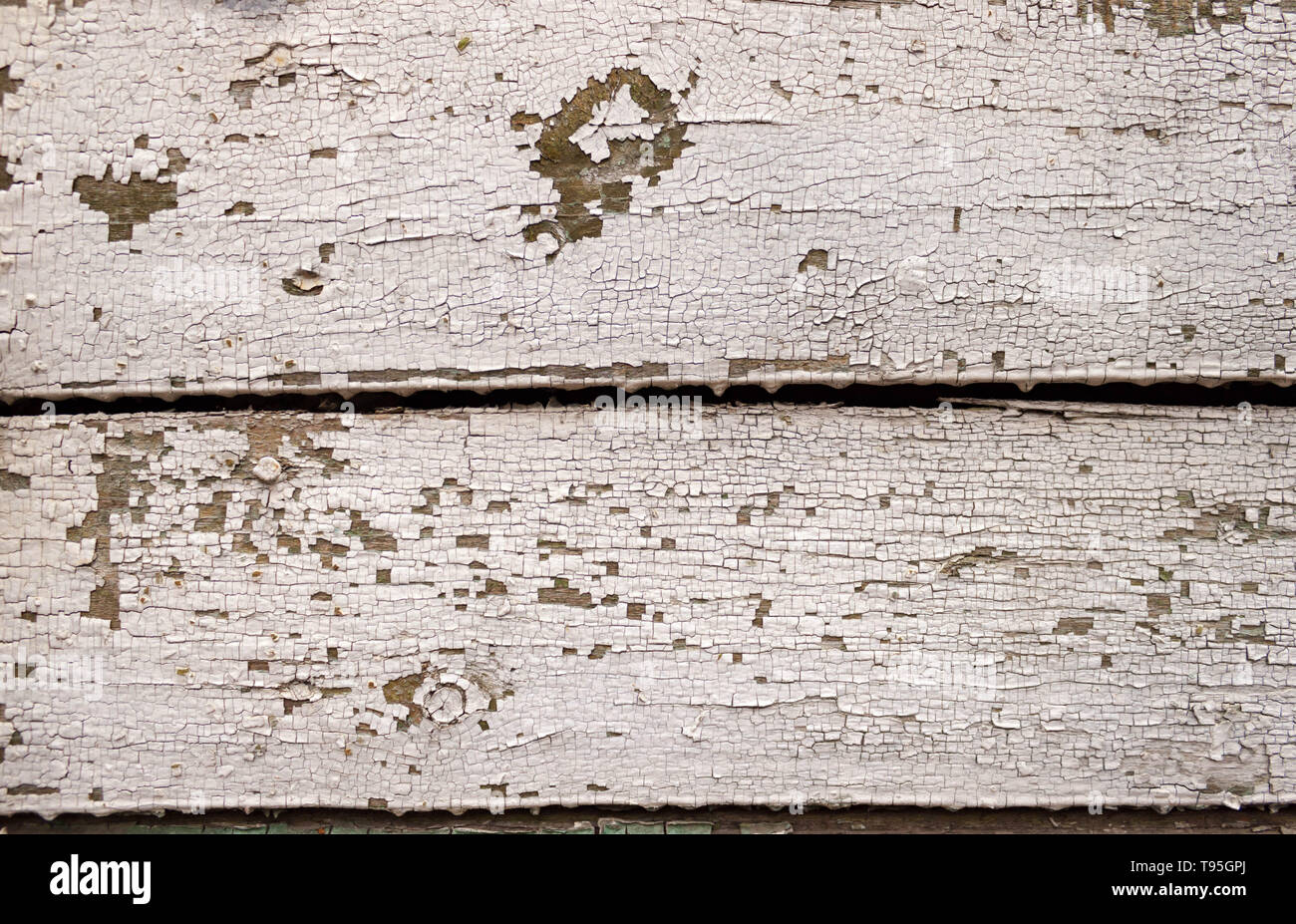 Grunge peeling Antique white paint Wooden Background texture floor or ...