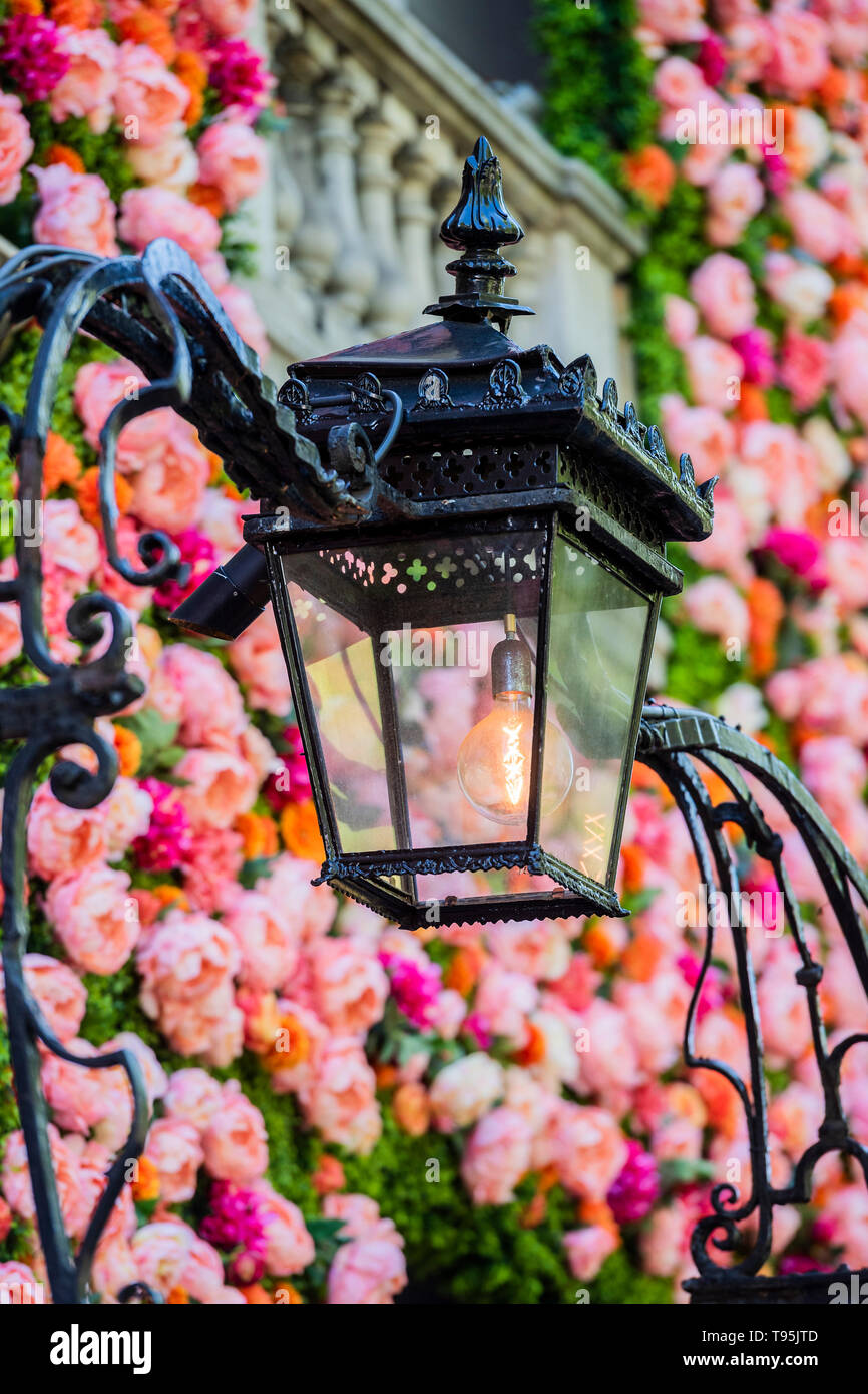Berkeley Square, London, UK. 16th May 2019. Annabel's in Berkeley Square is festooned with flowers in tribute to the The RHS Chelsea Flower Show which opens to the public next Tuesday. Credit: Guy Bell/Alamy Live News Stock Photo