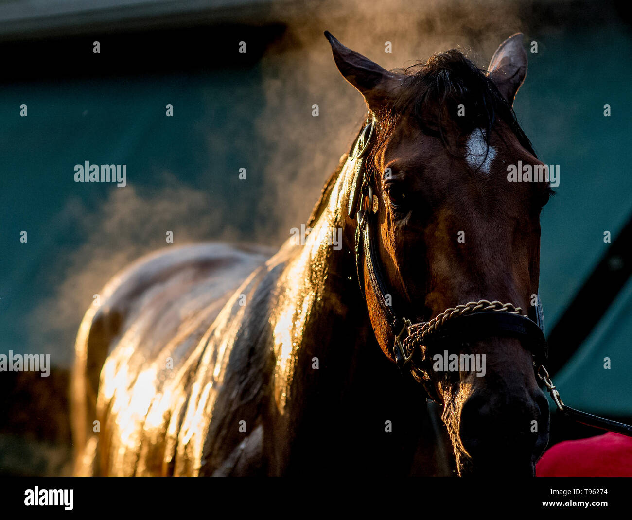 Horse racing bath race course hires stock photography and images Alamy