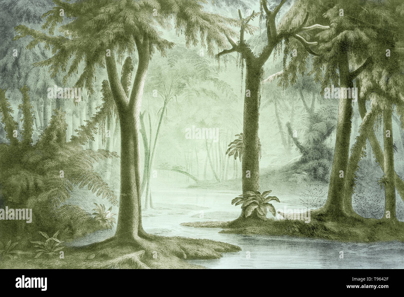 Carboniferous landscape. The fifth period of the Paleozoic Era. The Carboniferous Period spanned from about 355 million years to about 295 million years ago. The rocks that formed during this time interval are known as the Carboniferous System; they include a wide variety of sedimentary, igneous, and metamorphic rocks. Sedimentary rocks in the lower portion of the Carboniferous are typically carbonates, such as limestones and dolostones, and locally some evaporites. Stock Photo