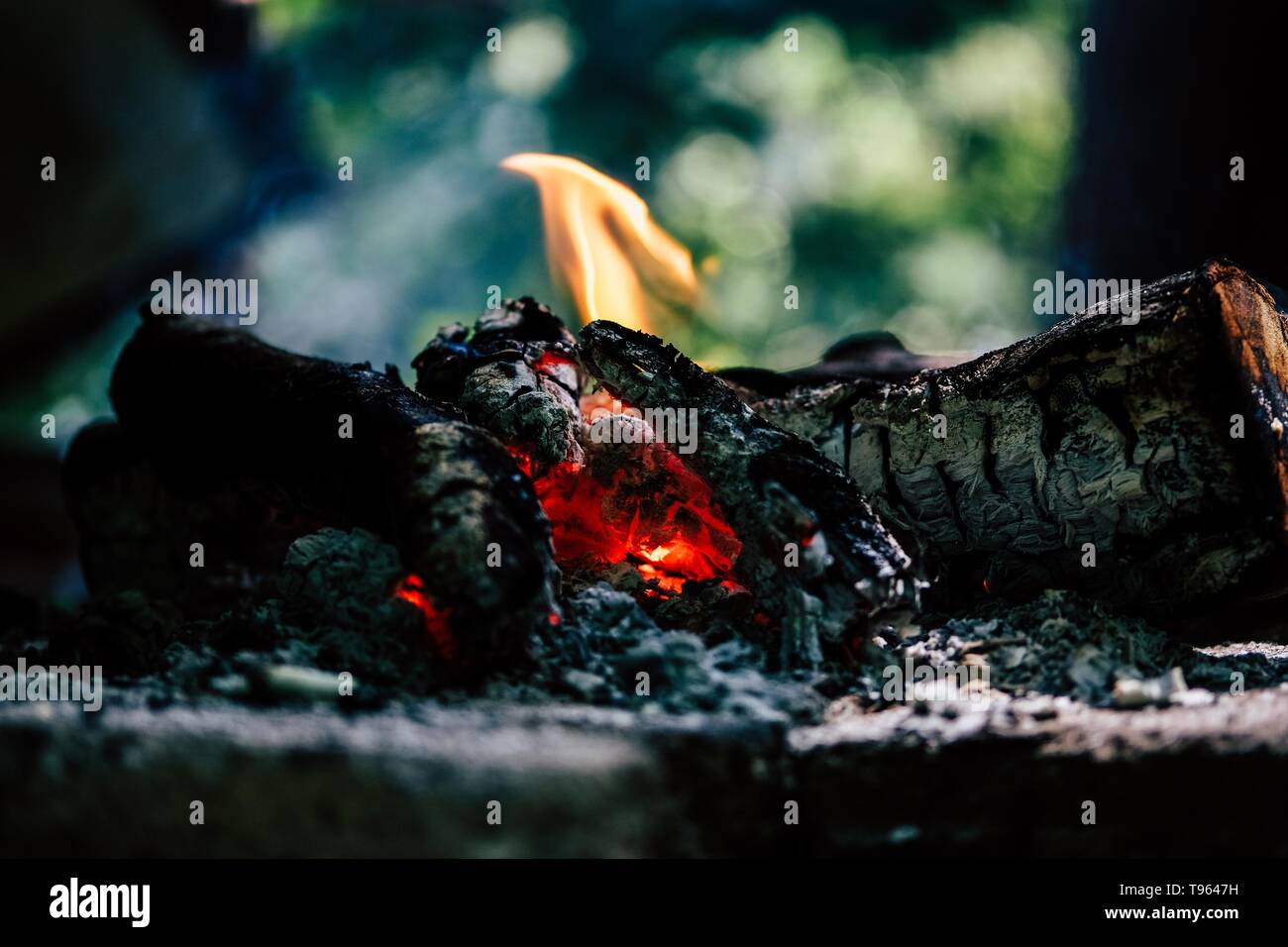 Closeup of burning logs indoors Stock Photo