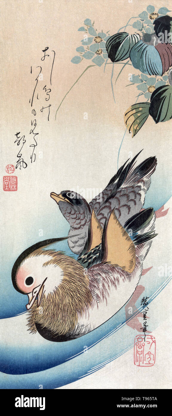 Oshidori. Mandarin ducks. Two ducks with flowers. In traditional Asian culture, mandarin ducks are believed to be lifelong couples, unlike other species of ducks. Hence they are regarded as a symbol of conjugal affection and fidelity, and are frequently featured in Asian art. Ukiyo-e (picture of the floating world) is a genre of Japanese art which flourished from the 17th through 19th centuries. Ukiyo-e was central to forming the West's perception of Japanese art in the late 19th century. Stock Photo