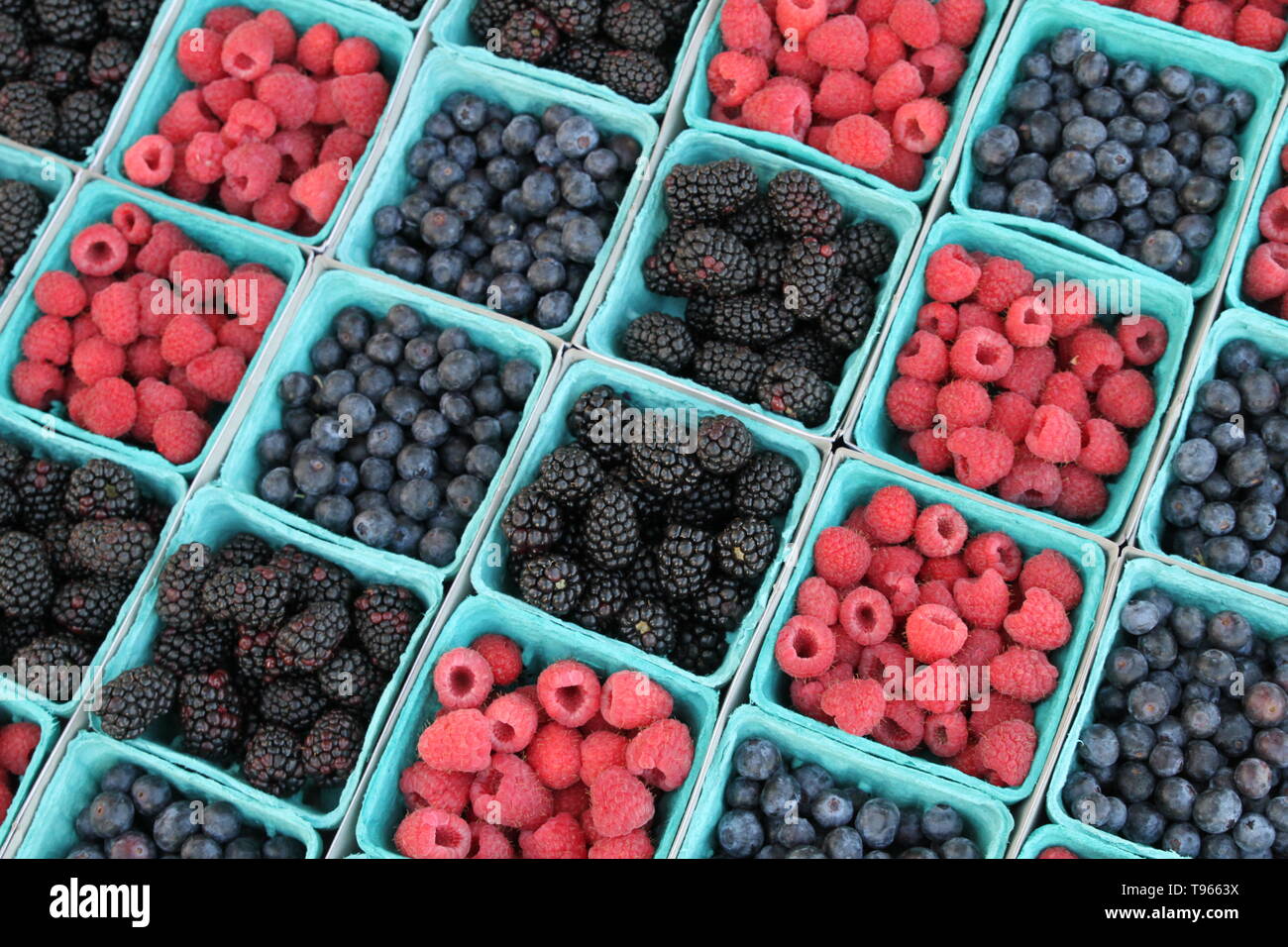 Types of berries hi-res stock photography and images - Alamy