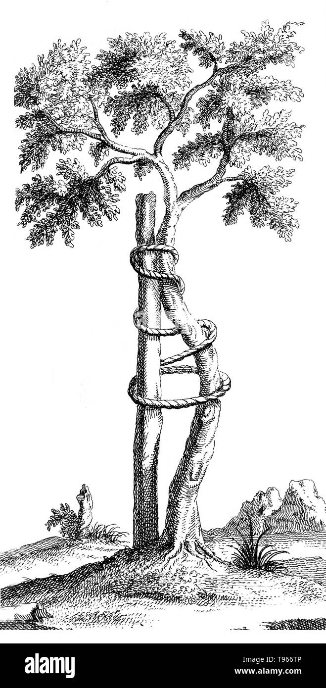 Originally, the term orthopedics meant the correcting of musculoskeletal deformities in children. Nicolas Andry de Bois-Regard (1658 - May 13, 1742) a French professor at the University of Paris coined the term in the first textbook written on the subject, Orthopédie, in 1741. He advocated the use of exercise, manipulation and splinting to treat deformities in children. Stock Photo