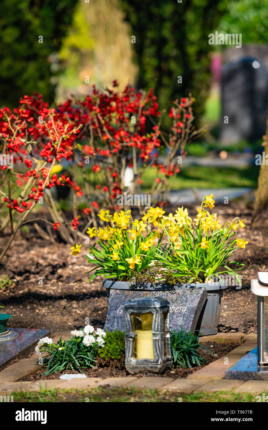 lights on the graves.memorial Stock Photo Alamy