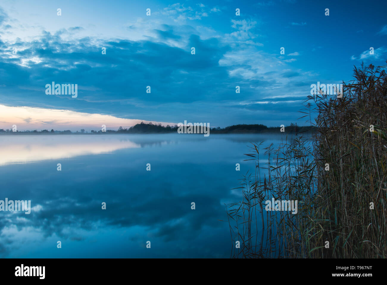 Reeds on the lake shore, evening fog and clouds reflecting in the water. Stock Photo