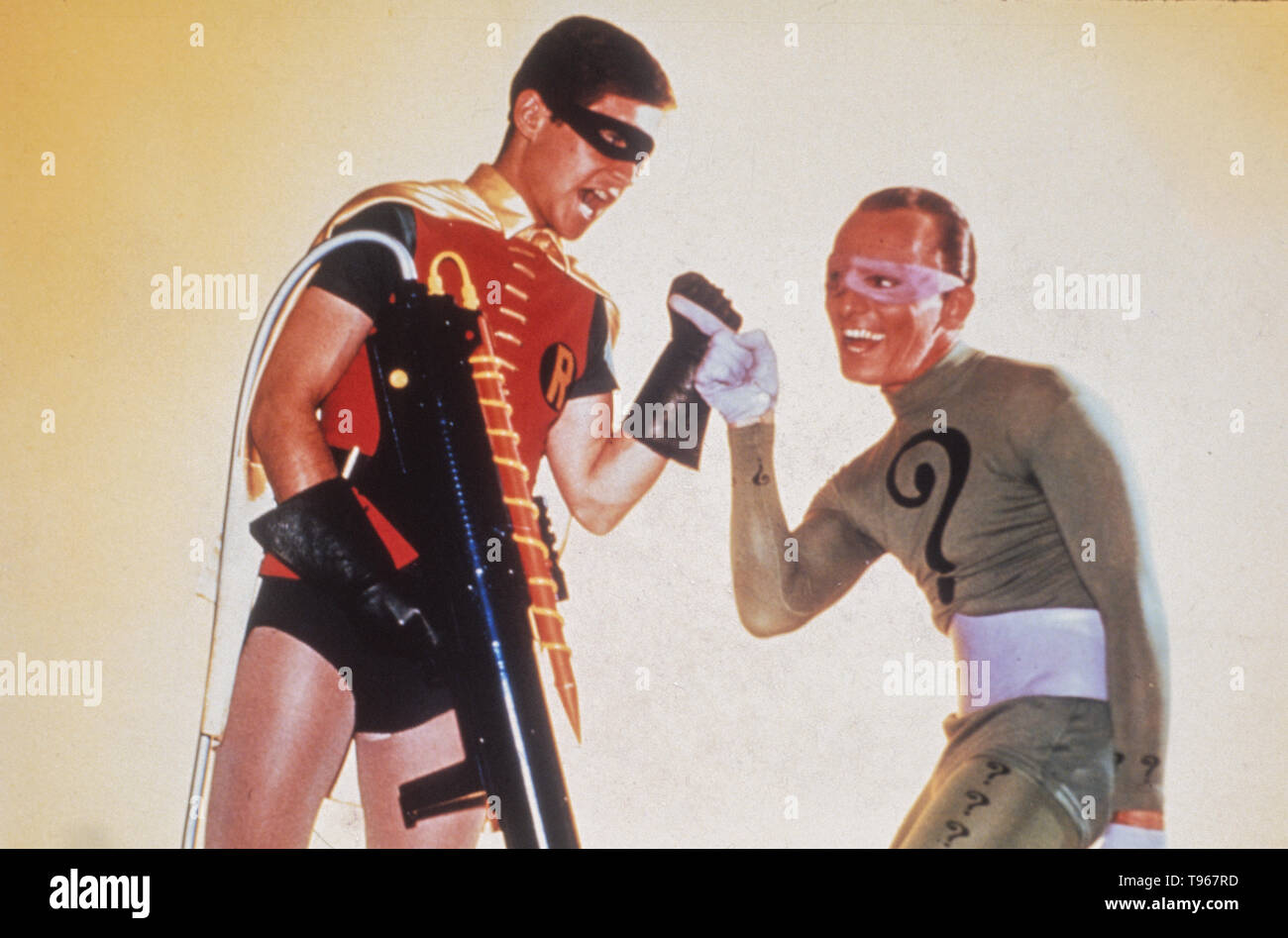 Robin photographs hi-res stock photography and images - Alamy