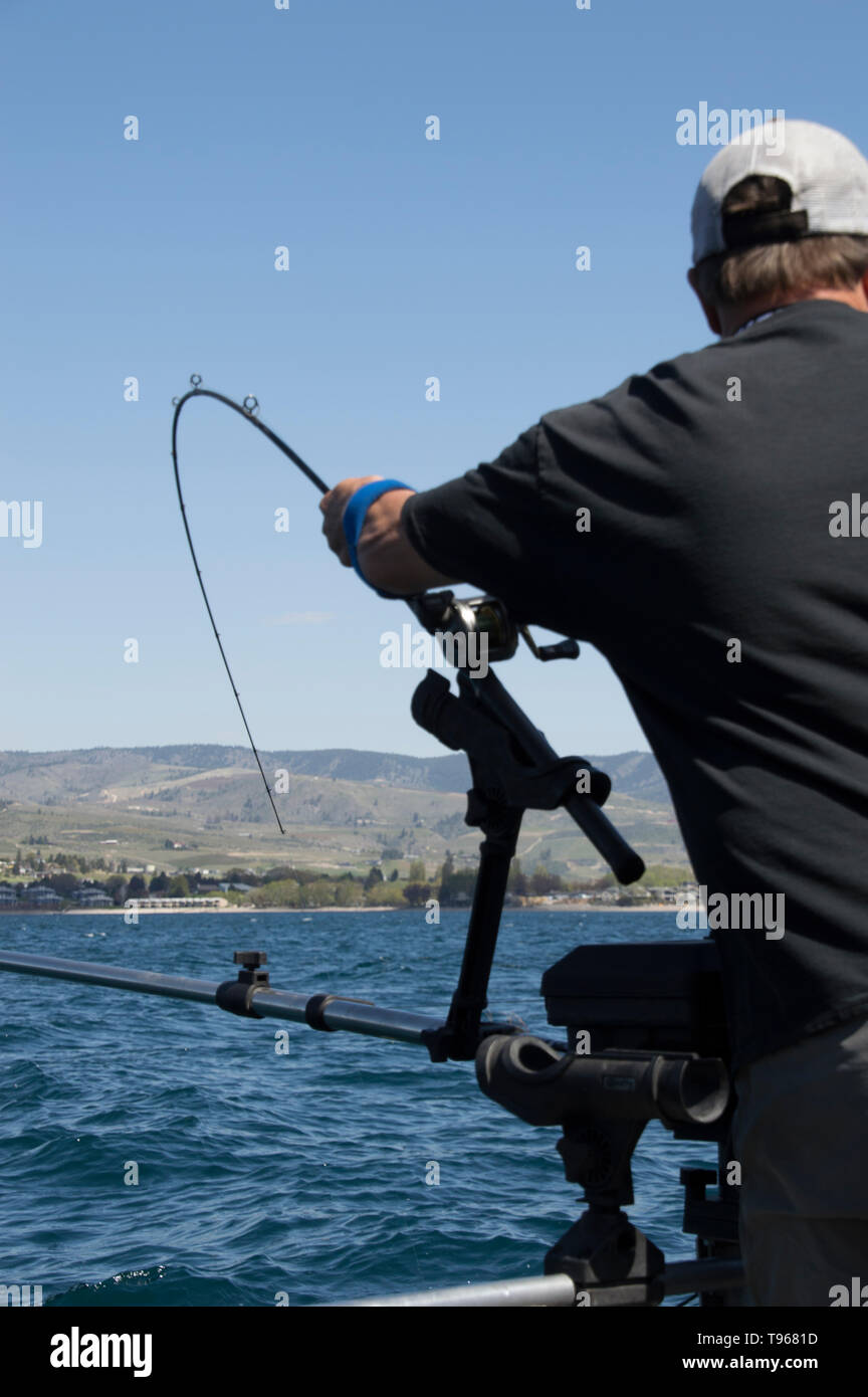 https://c8.alamy.com/comp/T9681D/a-fishing-guide-sets-a-fishing-pole-riged-to-a-down-rigger-used-for-kokanee-fishing-on-lake-chelan-washington-T9681D.jpg