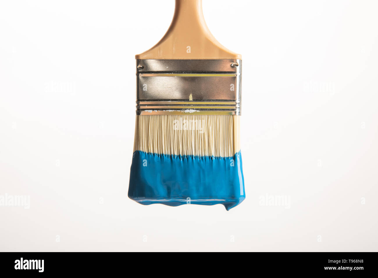 wooden brush with blue paint isolated on white Stock Photo - Alamy