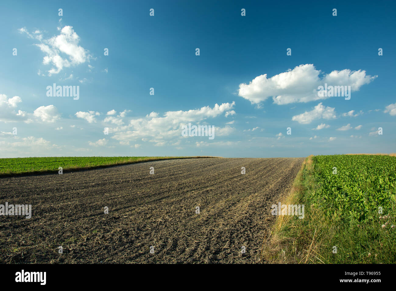 Strip farming hires stock photography and images Alamy