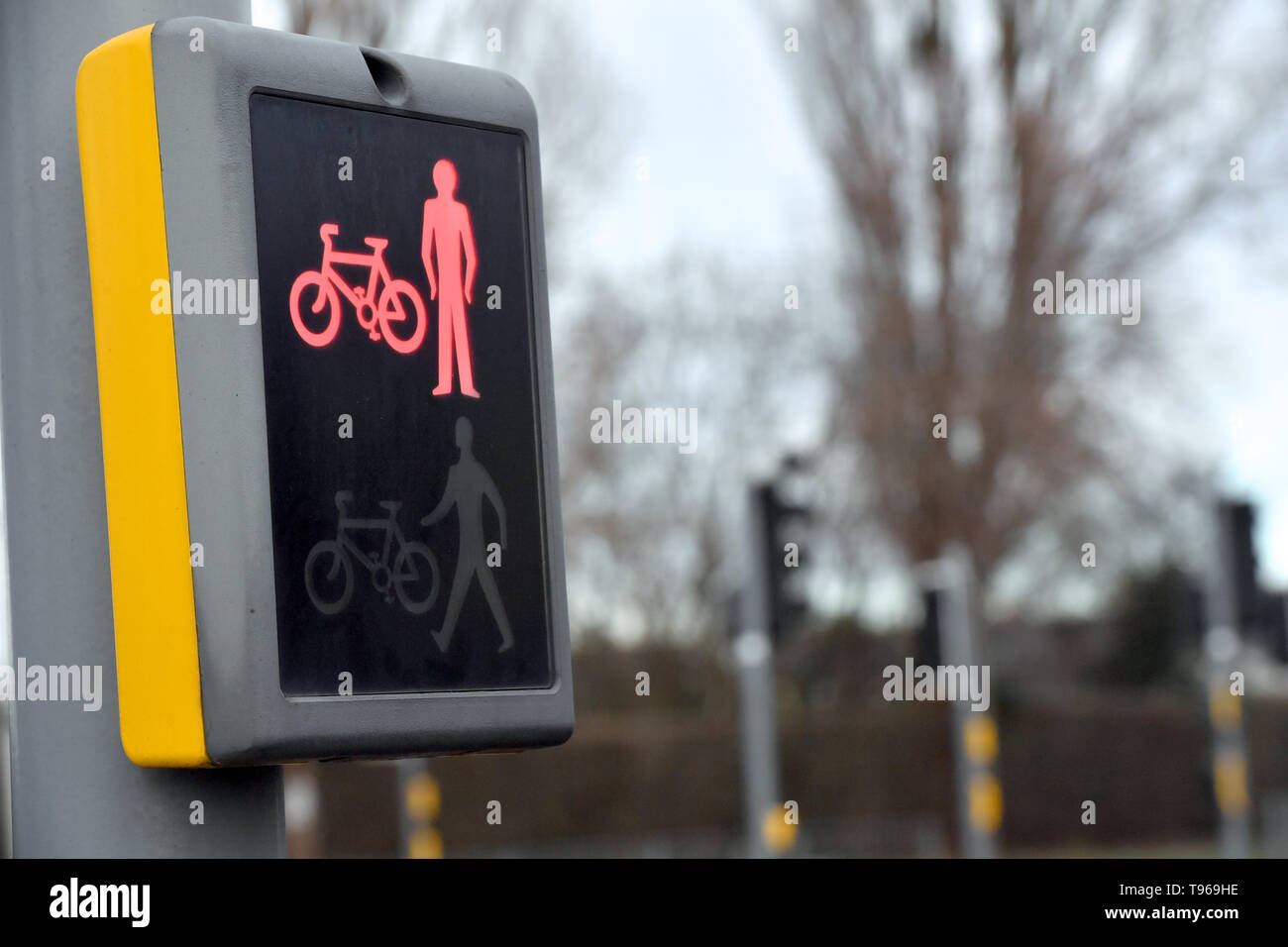 Pedestrian and cycle crossing lights Stock Photo