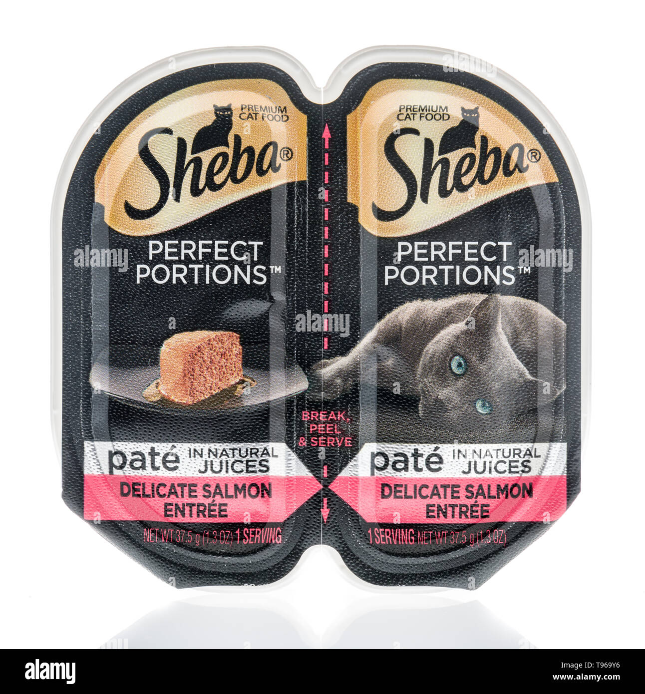 Sheba Cat High Resolution Stock Photography And Images Alamy