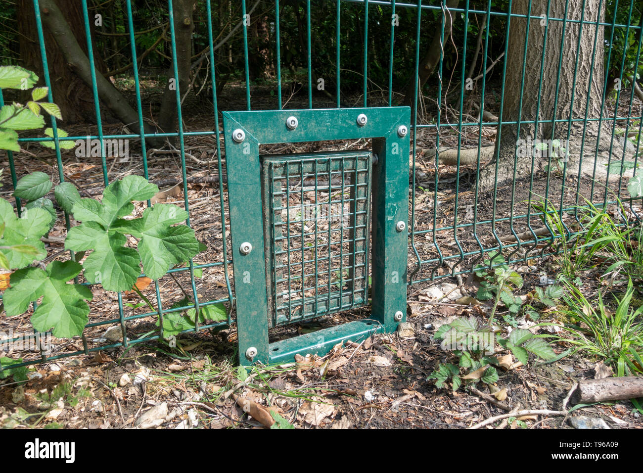 A small gate (one of several) in a continuous fence (for foxes? dogs? poets? ) around a large estate in Norbury Park, Mickleham, Surrey, UK. Stock Photo